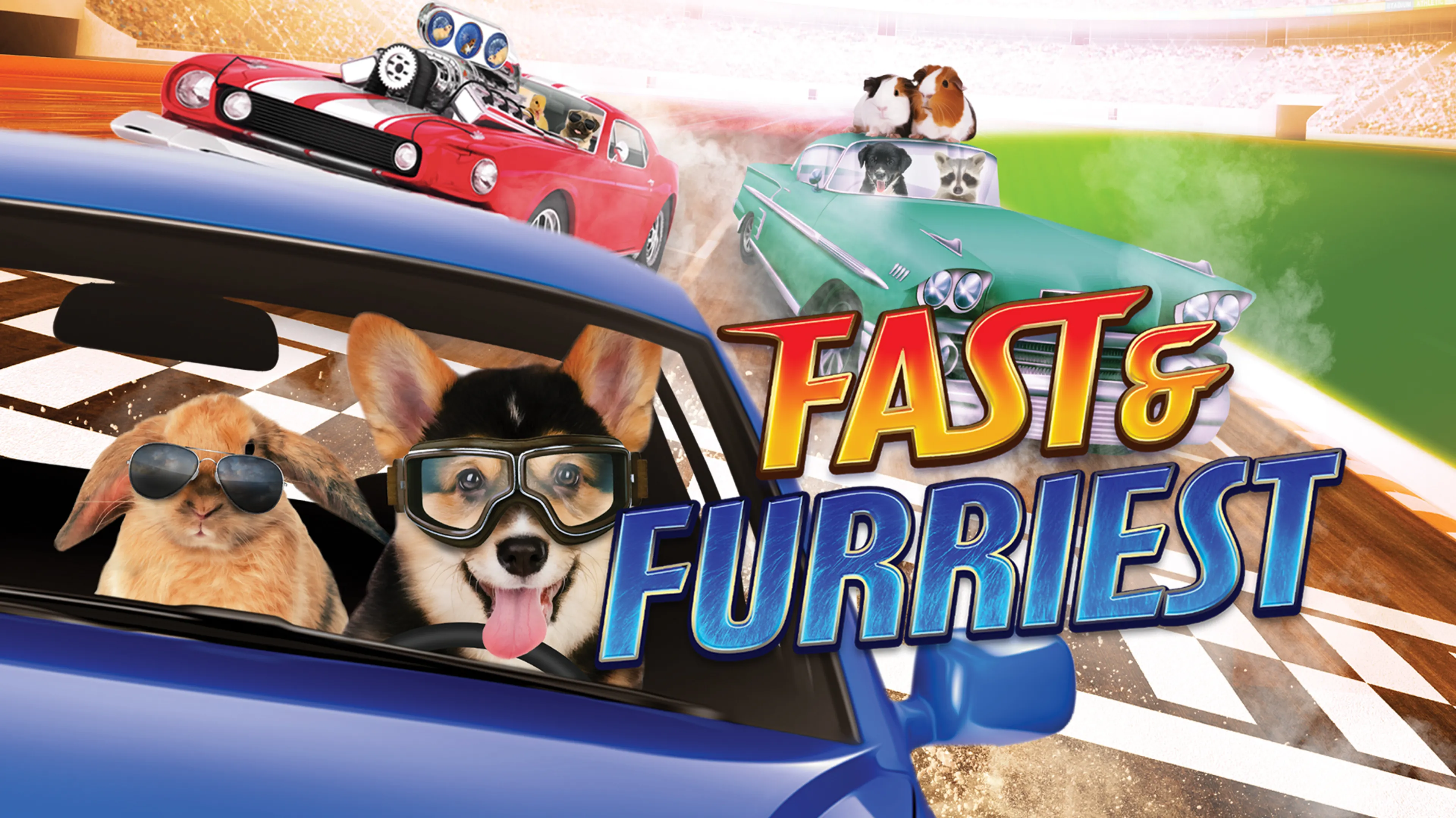 Fast and Furriest poster